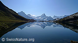 F062039: Spiegelung Bachalpsee