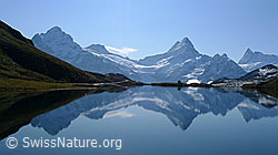F062043: Spiegelung der Berner Alpen im Bachalpsee