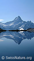 F062044: Spiegelung des Schreckhornmassivs im Bachalpsee