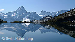F062048: Spiegelung einer Alpenkette im Bachalpsee