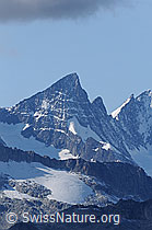 F062163: Gross Grünhorn und Klein Grünhorn