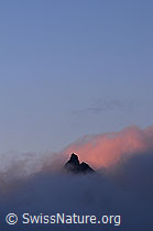 F062286: Bergspitze und Morgenrot