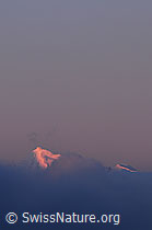 F062289: Berggipfel im Morgenrot