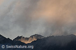 F062316: Morgenstimmung