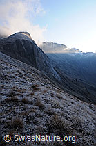 F062331: Raureif in Berglandschaft