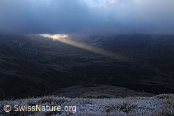 F062351: Sonnenstrahl