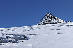 F062414: Rappegletscher und Ober Rappehorn