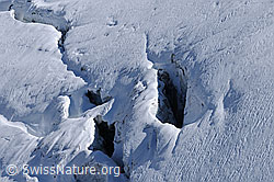Photo: Gletscherspalten im Rappegletscher