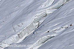 F062418: Querspalten im Rappegletscher