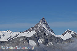 F062422: Finsteraarhorn und Studerhorn vom Holzjihorn