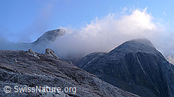 F062445: Morgenstimmung in urtümlicher Berglandschaft