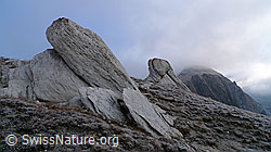 F062465: Felsblöcke in urtümlicher Landschaft