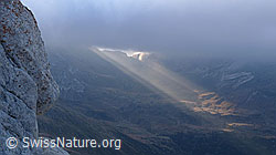 F062479: Morgenstimmung mit Lichtspot