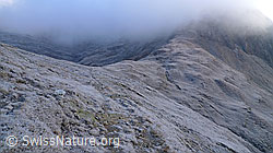 F062481: Kälte und Morgennebel