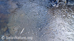 F062488: Eisdecke mit Formen und Mustern