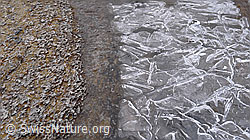 F062494: Strukturen auf Eisoberfläche