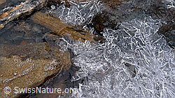 F062495: Eisgebilde und Steine