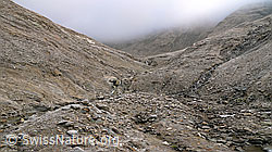 F062501: Geheimnisvolles Tal mit Morgennebel