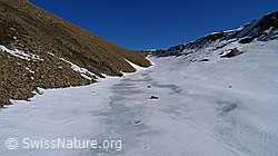 F062540: Gletscherrückzug