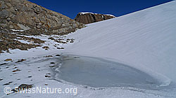 F062602: Gletscherrandsee