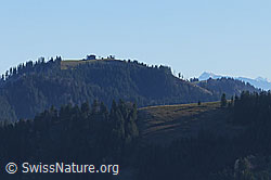 F063215: Napf von der Hohmatt