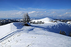 F063342: Winter in der Emmentaler Hügellandschaft