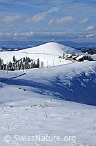 F063345: Neuschnee in Hügellandschaft