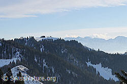 F063389: Napf vom Höchänzi