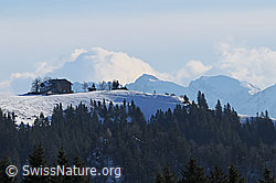 F063410: Napf im Winter