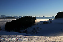 F064015: Nebelmeer im Abendlicht