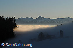 F064022: Nebelstimmung am Abend