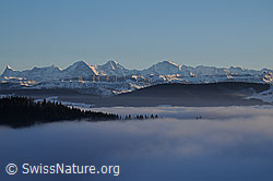 F064027: Nebelmeer vor Berner Alpen im Abendlicht