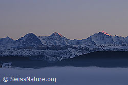 F064036: Dreigestirn und Nebelmeer