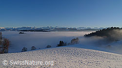 F064045: Nebelmeer und Bergkette