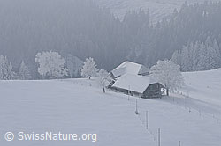 F064072: Bauernhof in Winterlandschaft