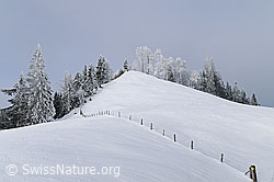 F064111: Hügel in Winterlandschaft