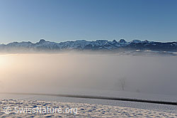 F064767: Gantrisch und Nebelmeer
