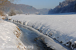F064847: Zugefrorener Bach in Winterlandschaft