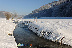 F064862: Winterlandschaft mit zugefrorenem Bach
