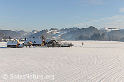 F064895: Bauernhof auf verschneiter Ebene