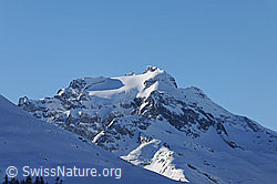 F065045: Hillehorn im Morgenlicht