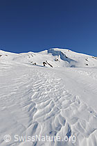 F065157: Strukturen im Schnee