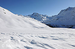 F065167: Schneefläche mit Verwehungen