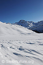 F065168: Schneedecke