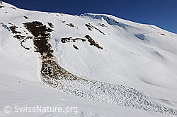 F065169: Grundlawine in steilem Berghang