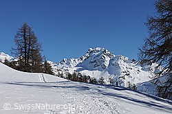 F065211: Schneeschuhpfad in Berglandschaft
