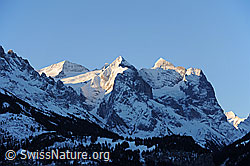 Photo: Wetterhornmassiv