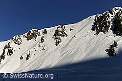 F065349: Schneerutsche an den Leitistöck