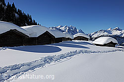 F065465: Alphütten mit dicker Schneeschicht auf dem Dach