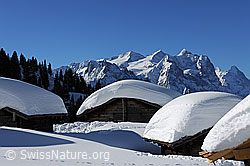 F065471: Alphütten mit dicker Schneeschicht auf den Dächern